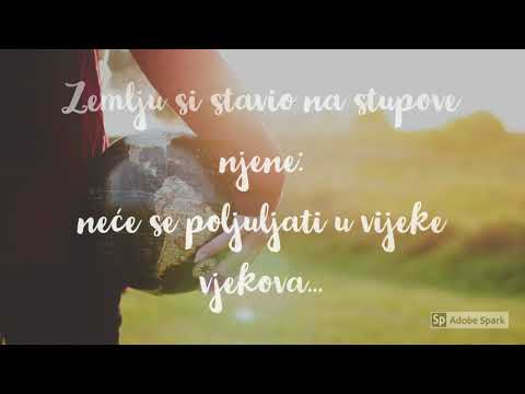 Pohvala Bogu Stvoritelju (Ps 104)