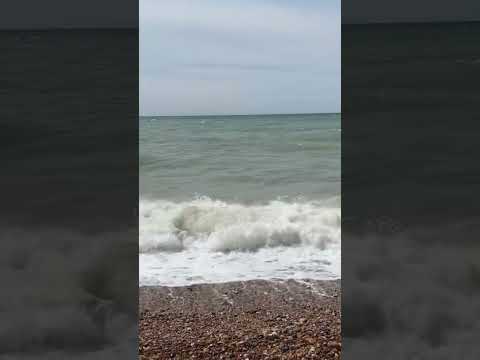 🤩🤩#beach#brighton#fypシ #fyp #fypシ゚viral #tiktok #viral#sakoon#explore #shorts#short