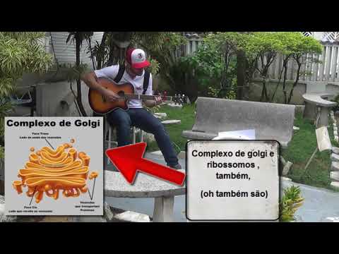 O Sol - Victor Kley ''Paródia Biologia'' Organelas Citoplasmáticas - Danilo Fernandes