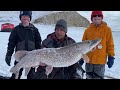 Video Thumbnail for KIDS Reel In ***MAMMOTH PIKE***