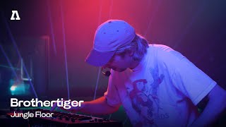Brothertiger - Jungle Floor | Audiotree Live