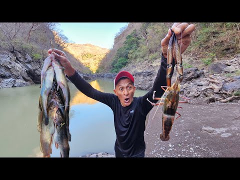 Don jose pesco camaron Gigante y juilines 