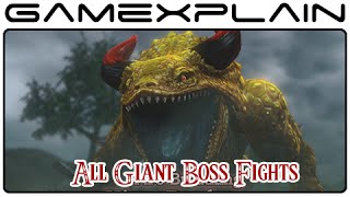 Hyrule Warriors - All Giant Boss Fights (Wii U)