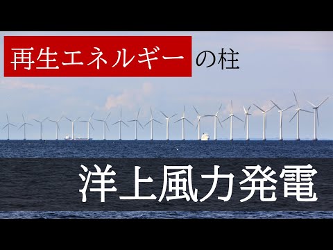 イベルドローラについて詳しく解説