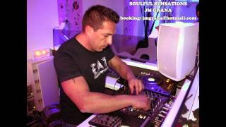 Reggae Disco Rockers Feat. Minako Okuyama-I Saw The Light (Little Big Bee Mix)