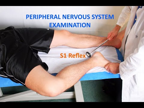 Peripheral Nervous System Examination - Complete Procedure