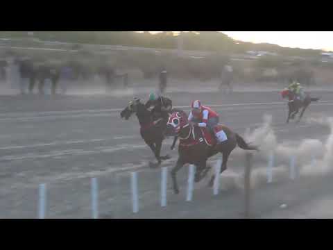 CORAZON DE ORO Club Hipico "El Chiripa" - Villa Regina - Rio Negro - 29-10-2023