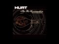 Hurt - The Consumation
