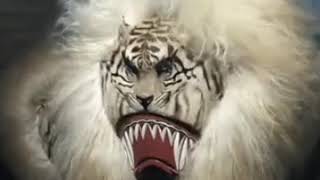 Download lagu story wa reog terbaru bengis 2020 mp3