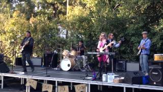 We Play For Cash- WP4$ - Performs Neil Young Song “Prisoners of Rock and Roll” 2015