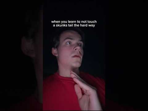 why you should never touch a skunk