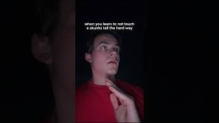why you should never touch a skunk