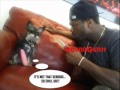 50 cent - im an animal (dj whoo kid) diss jadakiss ...