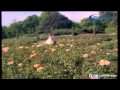Thangamani Rangamani HD Song