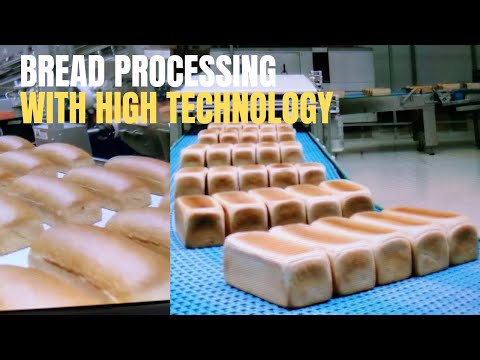 , title : 'Bread Processing Factory- Automated Production Line WITH HIGH TECHNOLOGY MACHINES'