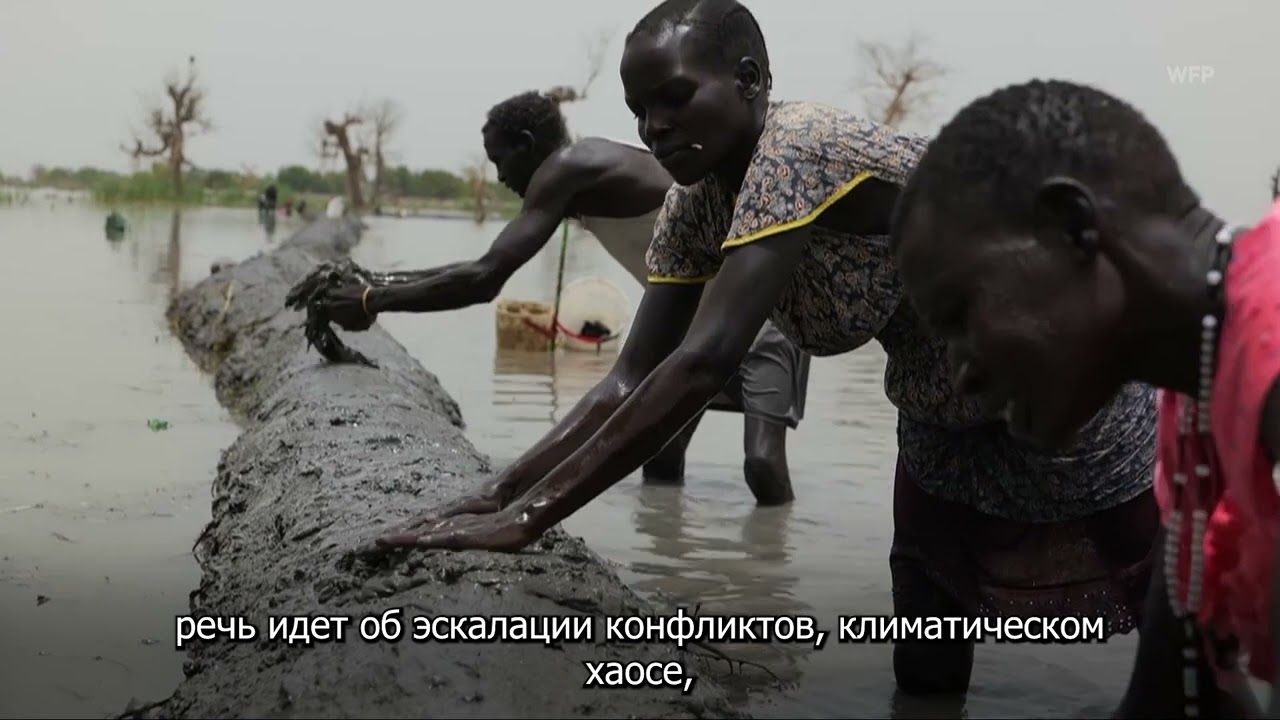 День ООН 2025 года