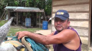 Soy de dónde Soy / #19A Paro Nacional Agrario y Popular