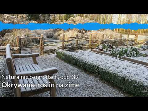 NoO 39: Covering plants for winter