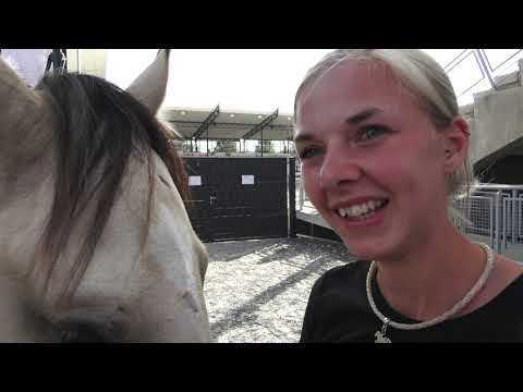 MUSTANG MAKEOVER 2018 Team Sina - INTERVIEW