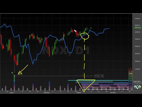Early Cycle Troughs - Hurst Cycles Market Update - 14 October 2024