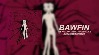 Cover art for Mouths Like Sidewinder Missles