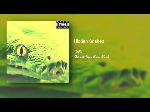 Gunna - Hidden Snakes
