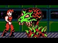 Time Lord NES All Bosses No Damage