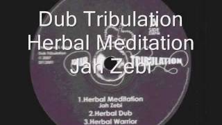 Herbal Meditation-Jah Zebi__Herbal Dub & Herbal Warrior__Dub Tribulation (Dub Tribulation)