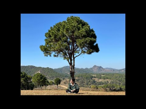 MATTi - NBSL (Acoustic Version)