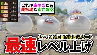 【Lv.99】終盤最速レベル上げが想像以上！闘技場で腕試し【ドラクエ７リイマジンド】
