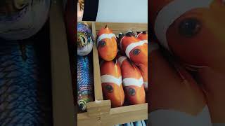 Download lagu ikan kamu lucu sekali mp3