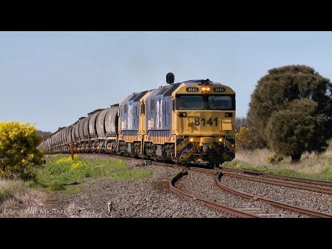 Pacific National 81's, NGPF & NGKF Grain Hoppers - PoathTV Australian Trains & Railways