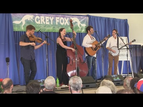 Grey Fox presents Abby Hollander Band - "Policeman" 2015