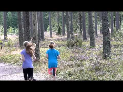 Östansjöloppet 2012 - Start 1,5, 3 och 5 km