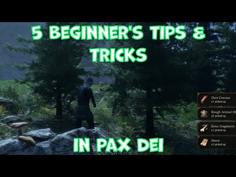 5 Beginner's Tips - Be More Efficient in Pax Dei!