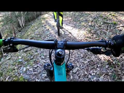 Gstaad, Wispile - Lauenensee Teil 2 uphill