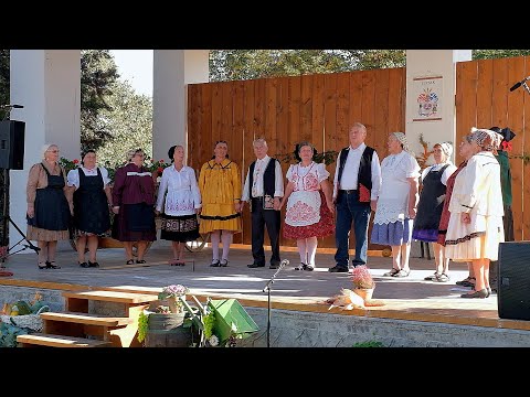 Buzsák 2021 09 25 - kommentár nélkül /Élő János +36 30 328 3860/