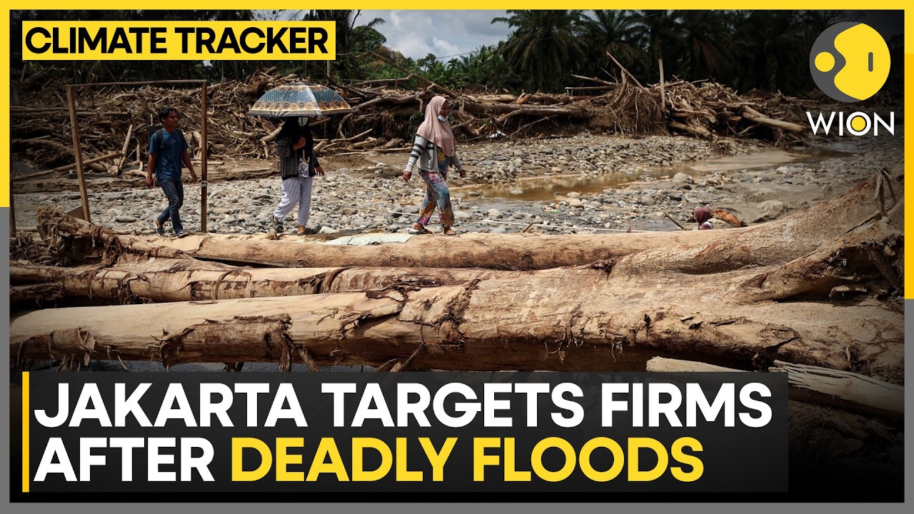 Deadly Floods in Indonesia: Jakarta Targets Firms Over Deforestation | WION