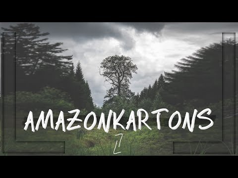 LUKAS LITT - AMAZONKARTONS (Official Video) 2017