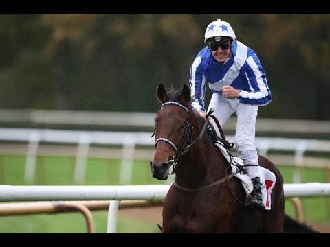 Hannover: Großer Preis der Mehl-Mülhens Stiftung Gestüt Röttgen (Gr.III) - Sieger: Sand Zabeel