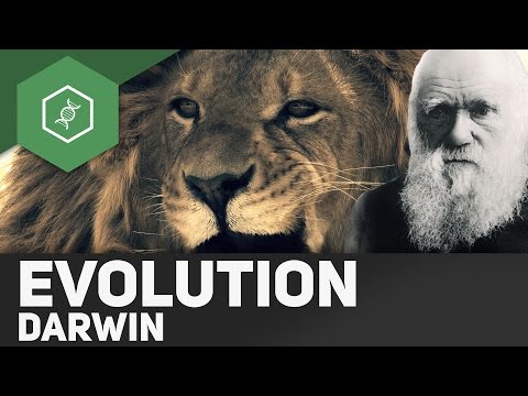 Charles Darwins Evolutionstheorie