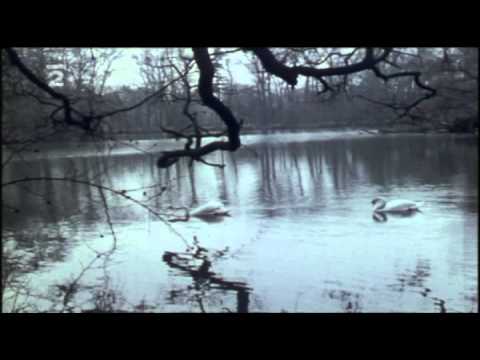 Helena Blehárová - Nádhernou náladu mám