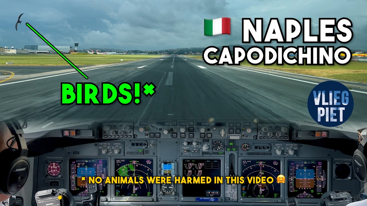 BIRDSTRIKE? | Boeing 737 RNP approach runway 24 | rain showers | Vesuvius