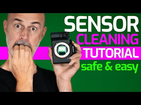 Beginner Camera Test with 9 entry Level Cameras Buying Guide for your first camera 2020