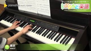 東京 / wacci : ピアノ（ソロ） / 中級