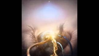 I Endeavor - The Agonist