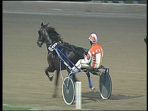 Trotto 02/10/2016 - 7ª corsa