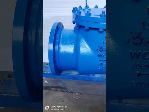 Cast steel swing check valve