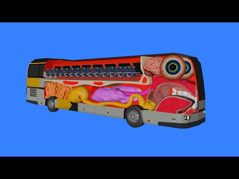 How a Bus works