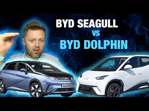 BYD Seagull vs BYD Dolphin. Why is the Seagull HALF the price?